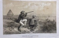 Chasse aux Éléphants Sri