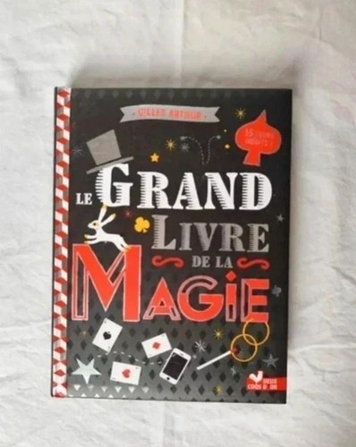 Grand livre la magie - le,