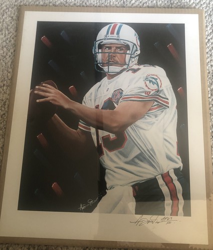 Miami dolphins quarterback dan - dolphins,