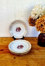 Lot de 4 assiettes plates