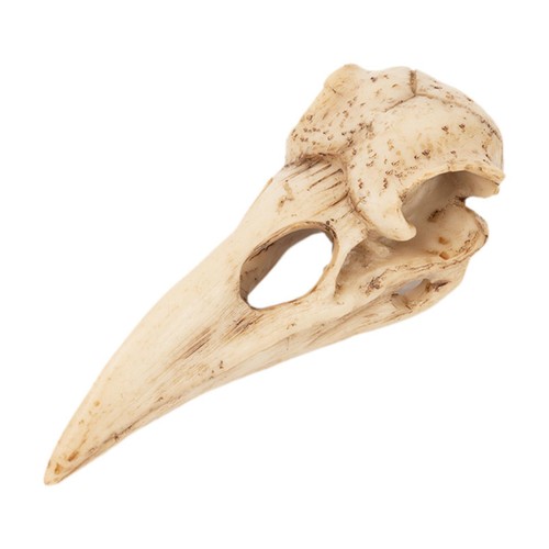 Pendentif crâne oiseau - crâne, d'oiseau