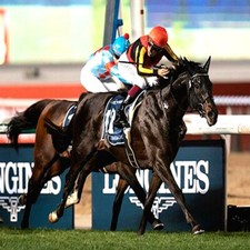 Méthode de TURF:  Maurice