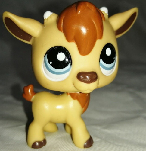 Authentic littlest petshop - authentic,