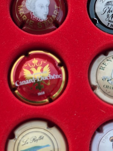 Capsule champagne canard - de,