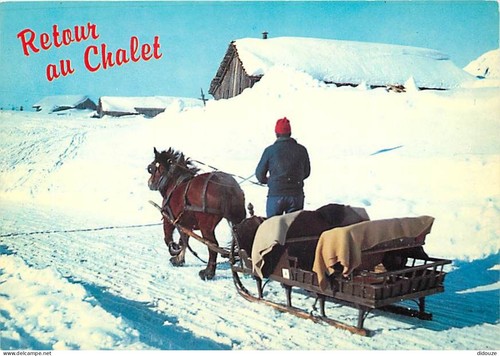 Carte postale animaux - animaux,