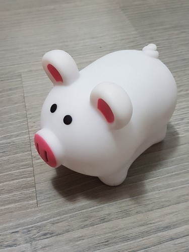 Petit cochon lumineux change
