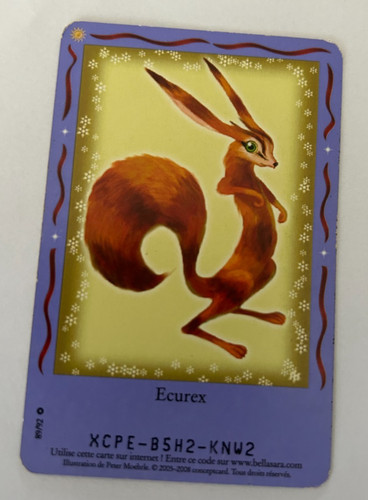 C54 carte bella - carte, sara