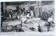 1  CARTE POSTALE     REIMS
