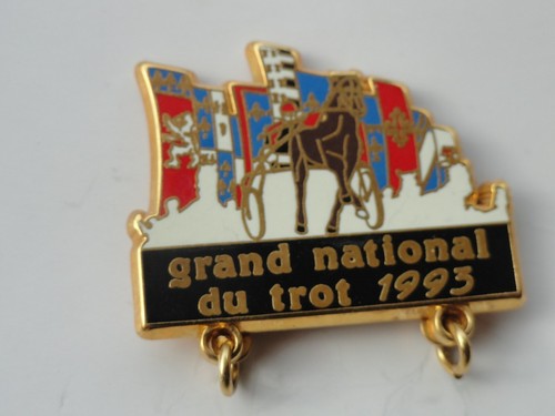 Pin cheval trotteur - cheval,