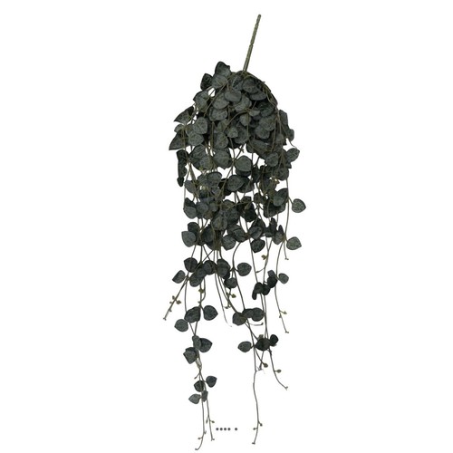 Chute ceropegia artificiel - de,