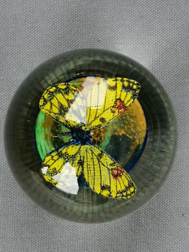 Presse papier sulfure verre