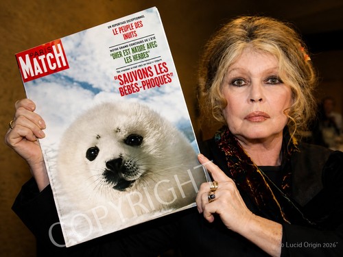 Photo brigitte bardot - a4,