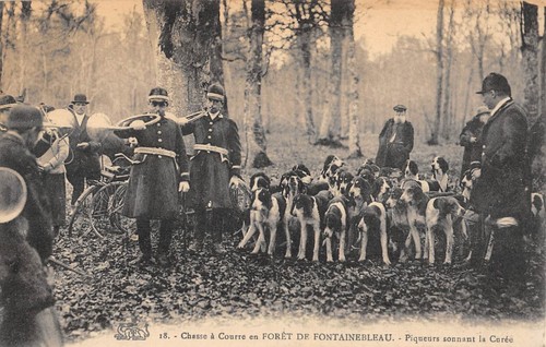 Cpa chasse - /,