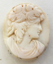 Camée coquille 19e bijou - ,