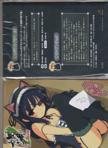 Senran kagura burst book - senran,