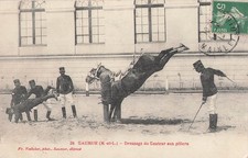 49 SAUMUR DRESSAGE DU SAUTEUR AUX PILIERS  - 28365