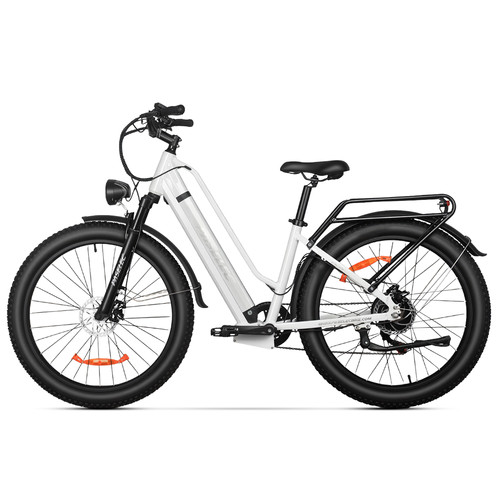 Paselec electric - 27.5'',