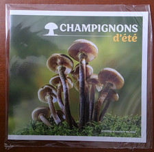 France Collector Champignon d'été Armillaire couleur de miel Neuf **