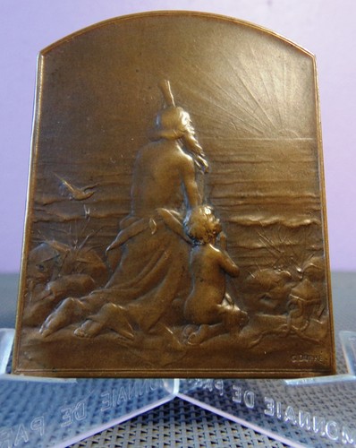 Rare médaille plaquette - rare,