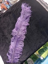 Plume D'autruche d 'époque