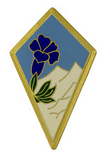 Insigne militaire military - insigne,