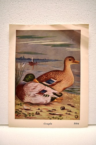 Vintage lithographie imprimé - vintage,