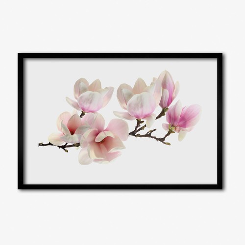 Tulup photo 60x40cm - photo, cadre