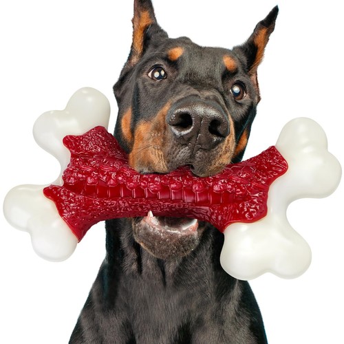 Jouets mâcher robustes - mâcher,
