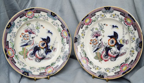Paire assiette faisan ridgway - assiette,