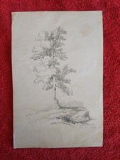 Saint Cyr Girier (1837-1911) - Dessin ancien au crayon 