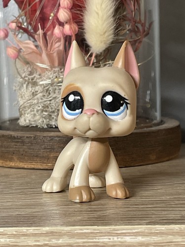 Petshop chien danois - 💖petshop,