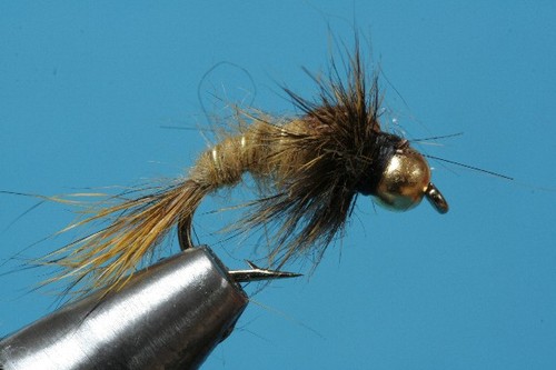 Fliegentom piéces oreille - piéces,