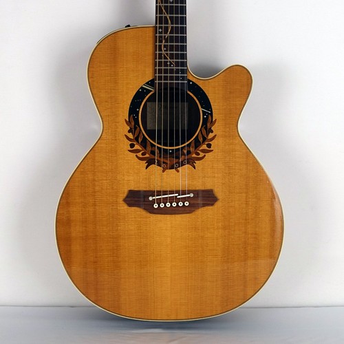 Takamine ltd 2000 - takamine, ltd-2000