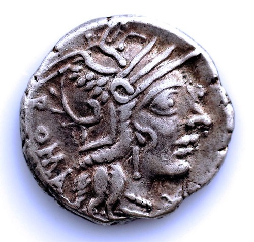 Romana marcus calidius - sc-r., romana-marcus