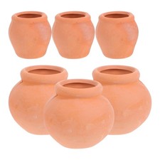  6 Pcs Petits Pots De Fleurs