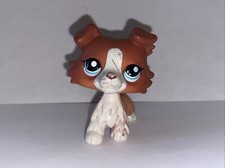 Petshop - Chien colley #1542 -