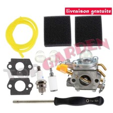Carburateur 308554003 pour