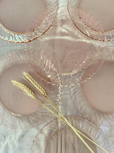 Lot assiettes plates - 6,