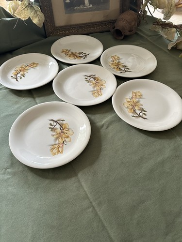 Assiettes plates série six - de,