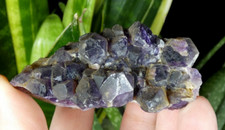 Amethyste de Pégut 6.5x4.5cm Auvergne France minéral collection pierre reiki