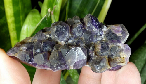 Amethyste pégut 5x4 5cm - amethyste, 6.5x4.5cm