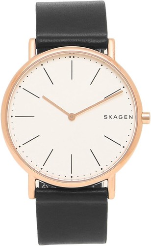 Montre skagen pour homme - skagen,