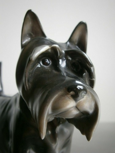 Chien scottish terrier - chien,