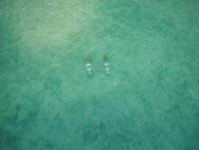 Lot 2 billes en verre de pompe