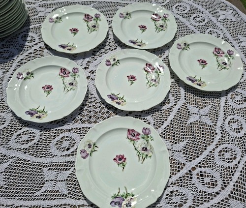Assiettes plates limoge unic - 6,