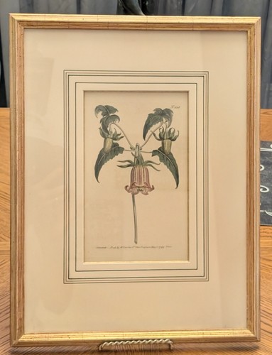 Antique 1799 curtis - antique,