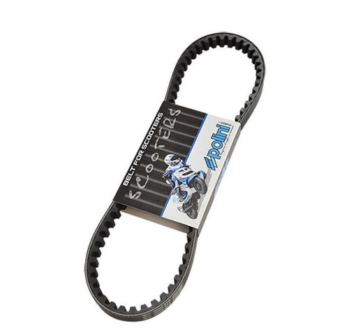 Courroie polini runner typhoon