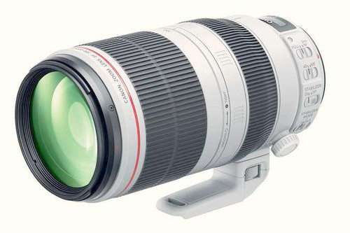 Canon 100 400mm 5 - ef, 100-400mm
