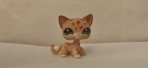 Petshop chat européen 852 - petshop,