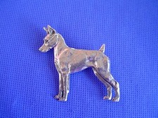 Minature Pinscher standing pin